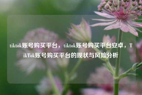 tiktok账号购买平台，tiktok账号购买平台安卓，TikTok账号购买平台的现状与风险分析  第1张