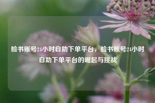 脸书账号24小时自助下单平台	，脸书账号24小时自助下单平台的崛起与挑战  第1张