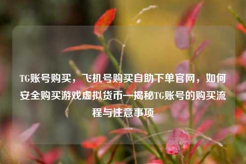 TG账号购买，飞机号购买自助下单官网，如何安全购买游戏虚拟货币—揭秘TG账号的购买流程与注意事项
