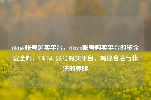 tiktok账号购买平台，tiktok账号购买平台的资金安全吗，TikTok 账号购买平台，揭秘合法与非法的界限