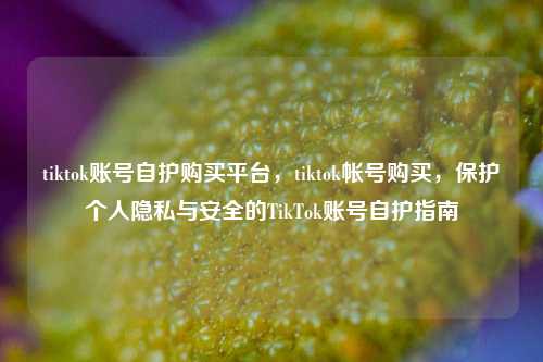 tiktok账号自护购买平台，tiktok帐号购买，保护个人隐私与安全的TikTok账号自护指南