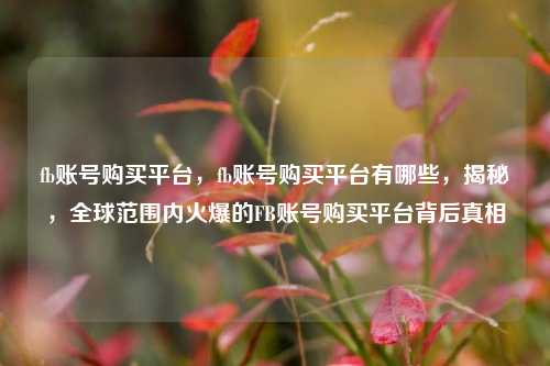 fb账号购买平台，fb账号购买平台有哪些，揭秘，全球范围内火爆的FB账号购买平台背后真相