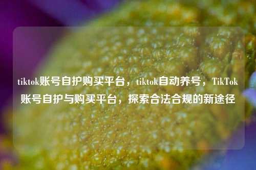 tiktok账号自护购买平台，tiktok自动养号，TikTok账号自护与购买平台，探索合法合规的新途径