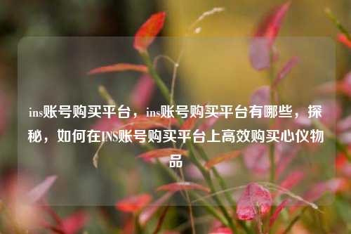 ins账号购买平台，ins账号购买平台有哪些，探秘，如何在INS账号购买平台上高效购买心仪物品