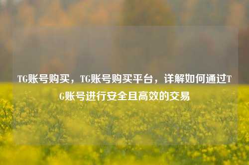 TG账号购买，TG账号购买平台，详解如何通过TG账号进行安全且高效的交易