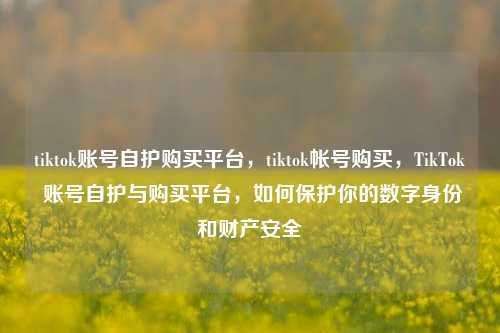 tiktok账号自护购买平台，tiktok帐号购买，TikTok 账号自护与购买平台，如何保护你的数字身份和财产安全