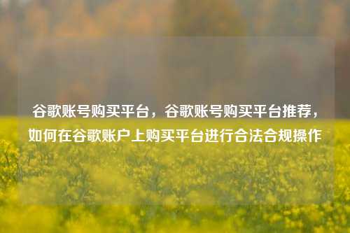 谷歌账号购买平台，谷歌账号购买平台推荐，如何在谷歌账户上购买平台进行合法合规操作