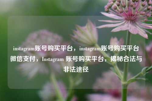 instagram账号购买平台	，instagram账号购买平台微信支付，Instagram 账号购买平台，揭秘合法与非法途径  第1张