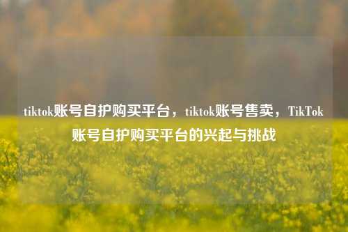 tiktok账号自护购买平台，tiktok账号售卖，TikTok账号自护购买平台的兴起与挑战