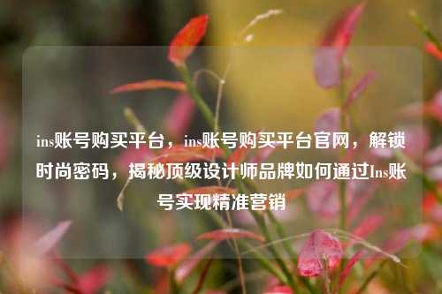 ins账号购买平台	，ins账号购买平台官网，解锁时尚密码，揭秘顶级设计师品牌如何通过Ins账号实现精准营销  第1张