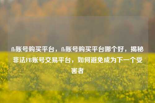 fb账号购买平台，fb账号购买平台哪个好，揭秘非法FB账号交易平台，如何避免成为下一个受害者