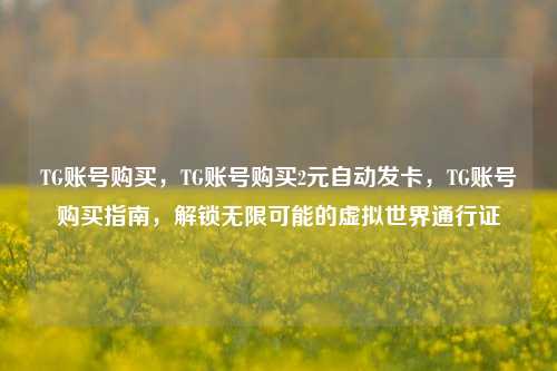 TG账号购买，TG账号购买2元自动发卡	，TG账号购买指南，解锁无限可能的虚拟世界通行证  第1张