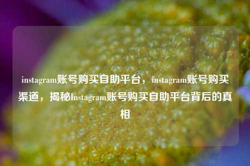 instagram账号购买自助平台	，instagram账号购买渠道，揭秘Instagram账号购买自助平台背后的真相  第1张
