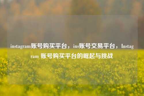instagram账号购买平台，ins账号交易平台，Instagram 账号购买平台的崛起与挑战