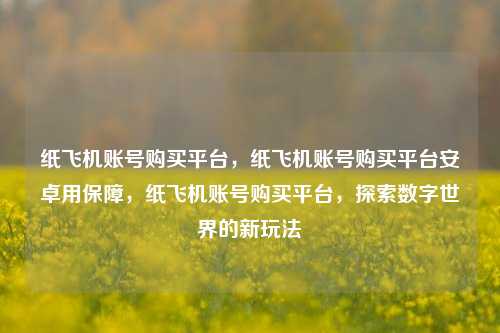 纸飞机账号购买平台，纸飞机账号购买平台安卓用保障，纸飞机账号购买平台，探索数字世界的新玩法