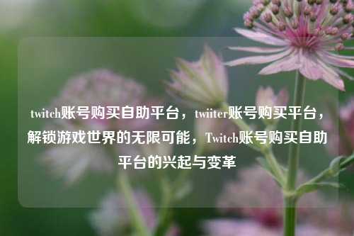 twitch账号购买自助平台，twiiter账号购买平台，解锁游戏世界的无限可能，Twitch账号购买自助平台的兴起与变革