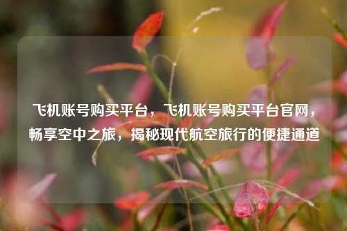 飞机账号购买平台，飞机账号购买平台官网，畅享空中之旅，揭秘现代航空旅行的便捷通道