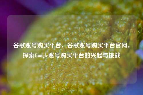 谷歌账号购买平台，谷歌账号购买平台官网，探索Google账号购买平台的兴起与挑战