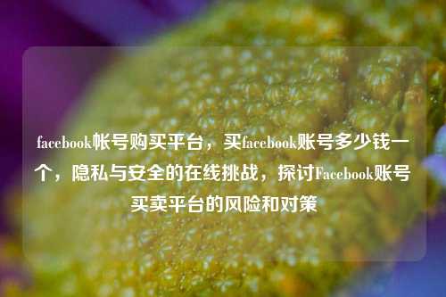 facebook帐号购买平台，买facebook账号多少钱一个，隐私与安全的在线挑战，探讨Facebook账号买卖平台的风险和对策