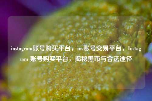 instagram账号购买平台，ins账号交易平台，Instagram 账号购买平台，揭秘黑市与合法途径