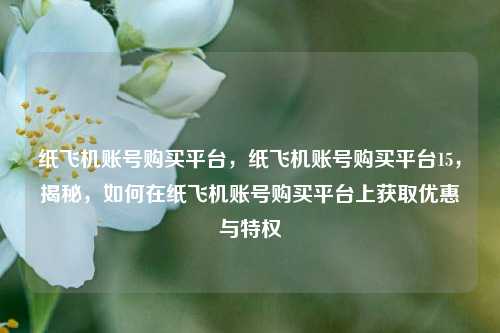 纸飞机账号购买平台，纸飞机账号购买平台15	，揭秘，如何在纸飞机账号购买平台上获取优惠与特权  第1张