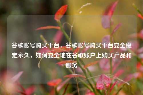 谷歌账号购买平台，谷歌账号购买平台安全稳定永久，如何安全地在谷歌账户上购买产品和服务