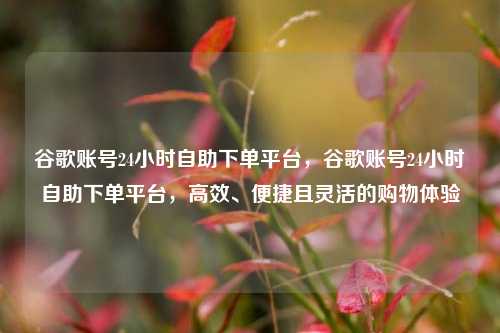 谷歌账号24小时自助下单平台，谷歌账号24小时自助下单平台，高效、便捷且灵活的购物体验