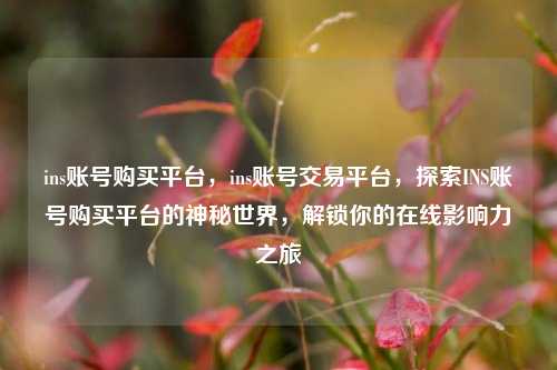 ins账号购买平台，ins账号交易平台，探索INS账号购买平台的神秘世界，解锁你的在线影响力之旅