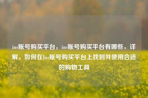 ins账号购买平台，ins账号购买平台有哪些，详解，如何在Ins账号购买平台上找到并使用合适的购物工具