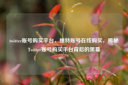 twitter账号购买平台，推特账号在线购买，揭秘Twitter账号购买平台背后的黑幕