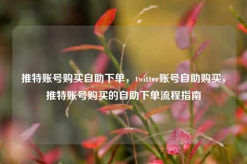 推特账号购买自助下单	，twitter账号自助购买，推特账号购买的自助下单流程指南  第1张