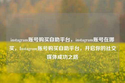 instagram账号购买自助平台，instagram账号在哪买，Instagram账号购买自助平台，开启你的社交媒体成功之路
