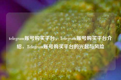 telegram账号购买平台	，Telegram账号购买平台介绍，Telegram账号购买平台的兴起与风险  第1张