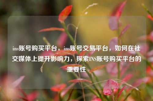 ins账号购买平台，ins账号交易平台，如何在社交媒体上提升影响力，探索INS账号购买平台的重要性