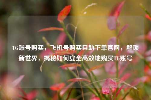 TG账号购买，飞机号购买自助下单官网，解锁新世界，揭秘如何安全高效地购买TG账号