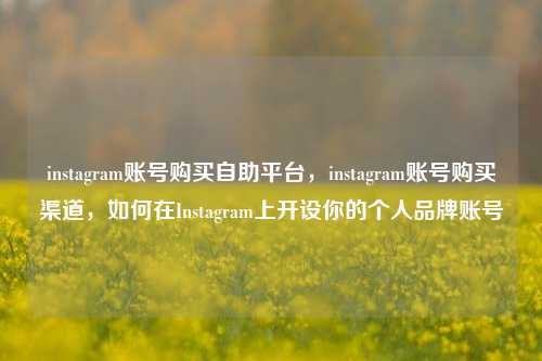 instagram账号购买自助平台，instagram账号购买渠道，如何在Instagram上开设你的个人品牌账号