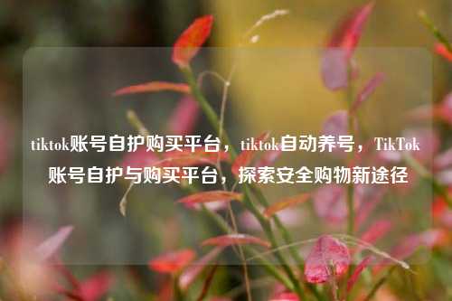 tiktok账号自护购买平台，tiktok自动养号，TikTok 账号自护与购买平台，探索安全购物新途径