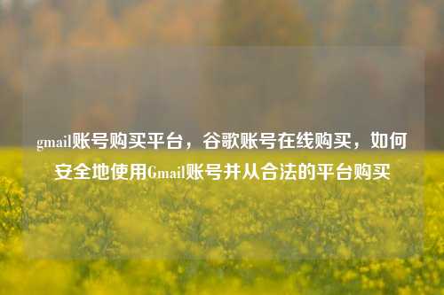 gmail账号购买平台，谷歌账号在线购买，如何安全地使用Gmail账号并从合法的平台购买