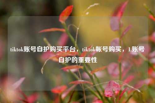 tiktok账号自护购买平台，tiktok帐号购买，1.账号自护的重要性