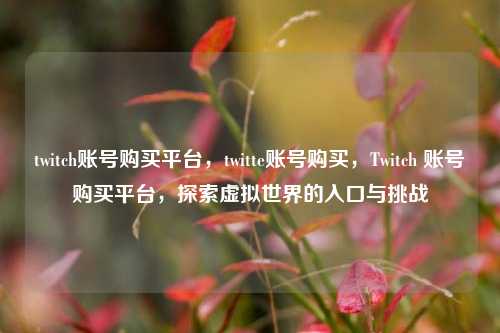 twitch账号购买平台，twitte账号购买，Twitch 账号购买平台，探索虚拟世界的入口与挑战