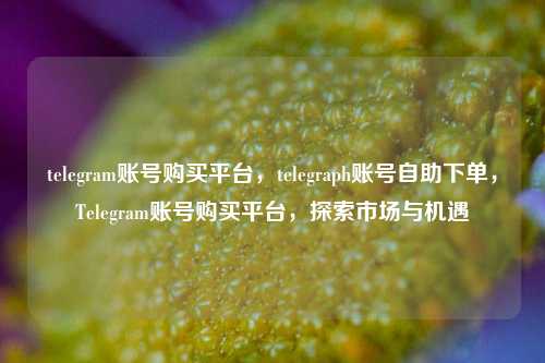 telegram账号购买平台，telegraph账号自助下单，Telegram账号购买平台，探索市场与机遇