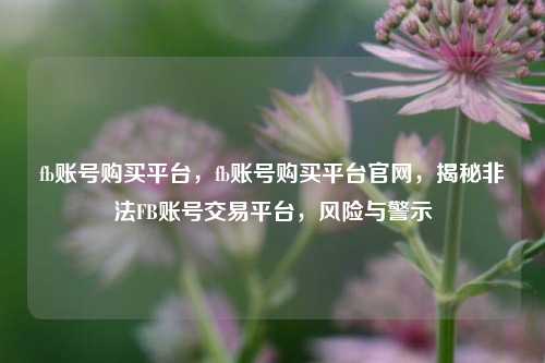 fb账号购买平台，fb账号购买平台官网，揭秘非法FB账号交易平台，风险与警示