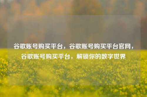 谷歌账号购买平台，谷歌账号购买平台官网，谷歌账号购买平台，解锁你的数字世界  第1张