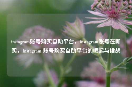 instagram账号购买自助平台，instagram账号在哪买，Instagram 账号购买自助平台的崛起与挑战