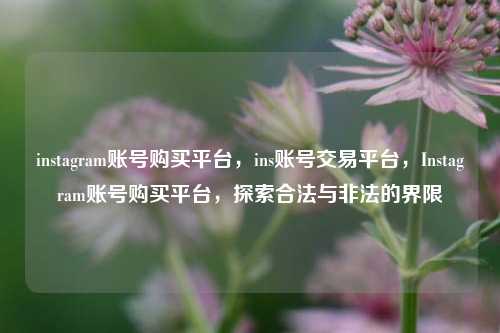 instagram账号购买平台，ins账号交易平台，Instagram账号购买平台，探索合法与非法的界限