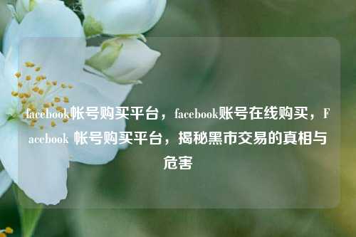 facebook帐号购买平台，facebook账号在线购买，Facebook 帐号购买平台，揭秘黑市交易的真相与危害