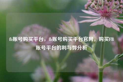 fb账号购买平台，fb账号购买平台官网，购买FB账号平台的利与弊分析