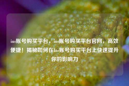 ins账号购买平台，ins账号购买平台官网，高效便捷！揭秘如何在Ins账号购买平台上快速提升你的影响力