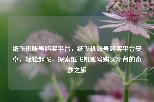 纸飞机账号购买平台，纸飞机账号购买平台安卓，轻松起飞，探索纸飞机账号购买平台的奇妙之旅