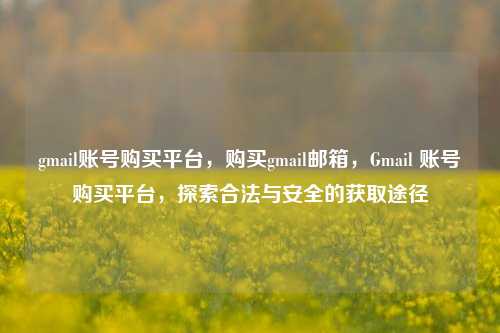 gmail账号购买平台，购买gmail邮箱，Gmail 账号购买平台，探索合法与安全的获取途径